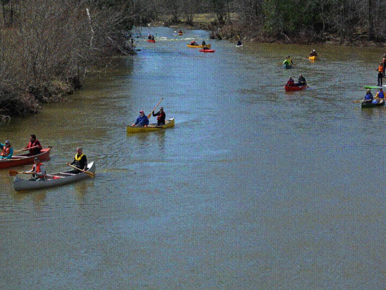 paddle